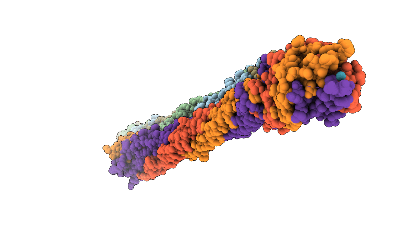 3C9I image