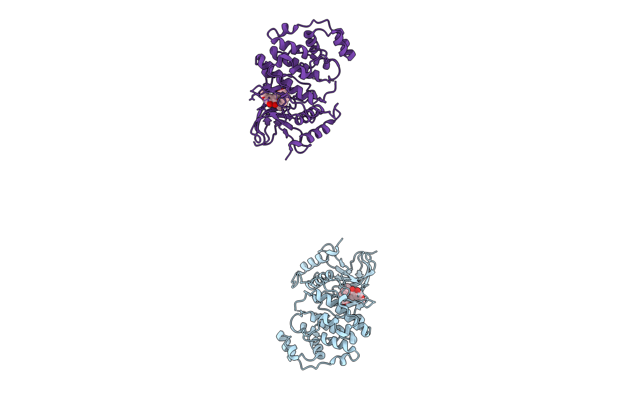 3C9W image