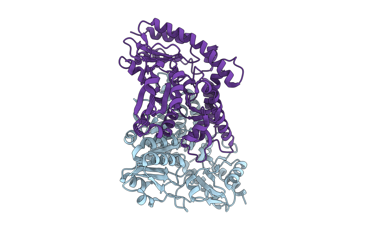 3CAI image