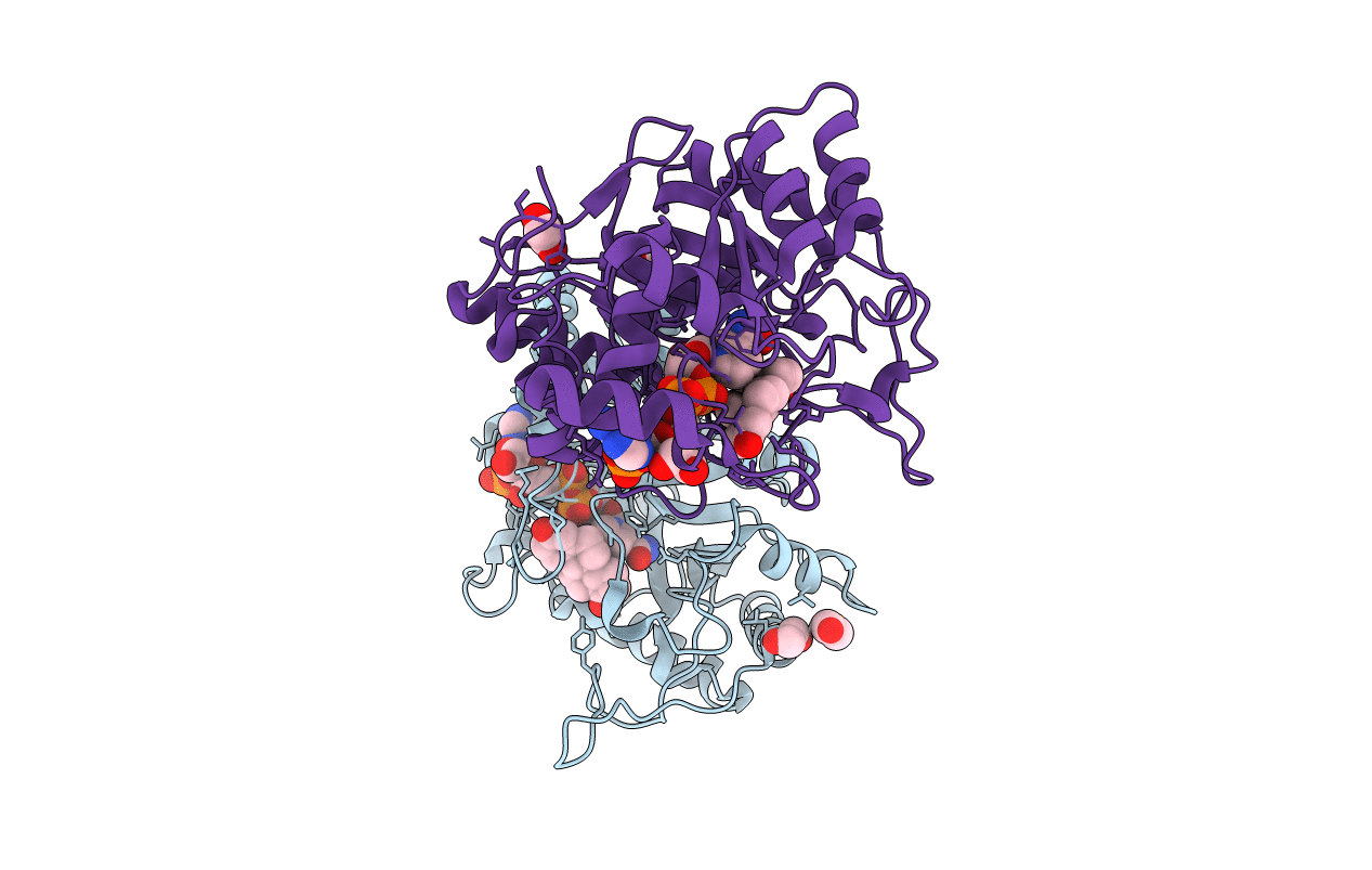 3CAS image