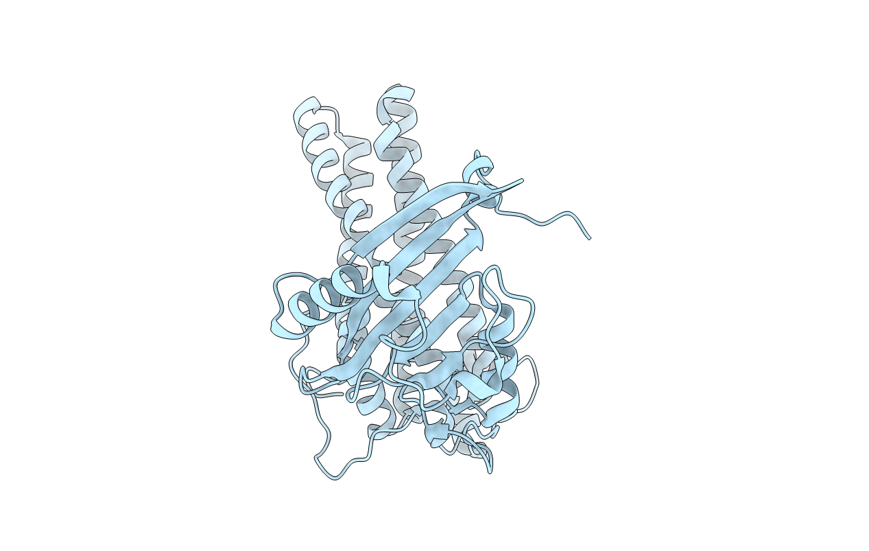 3CAX image