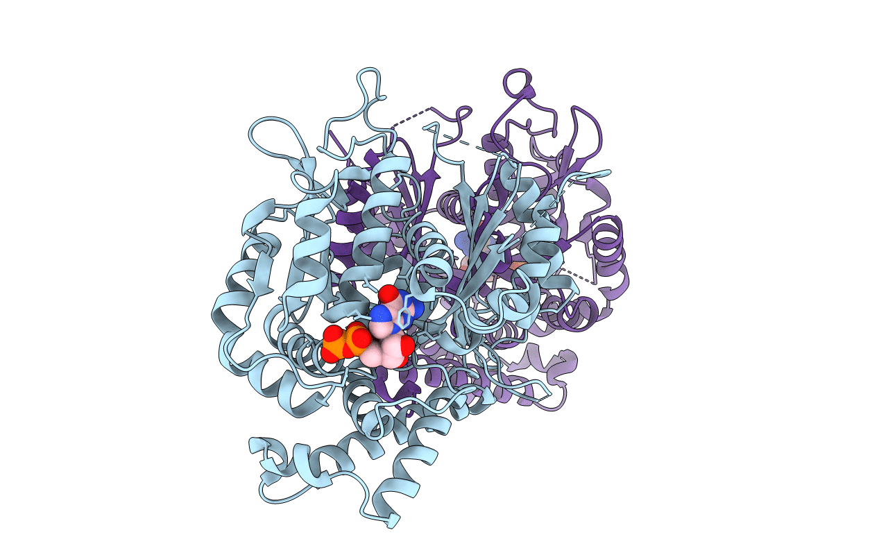 3CB2 image