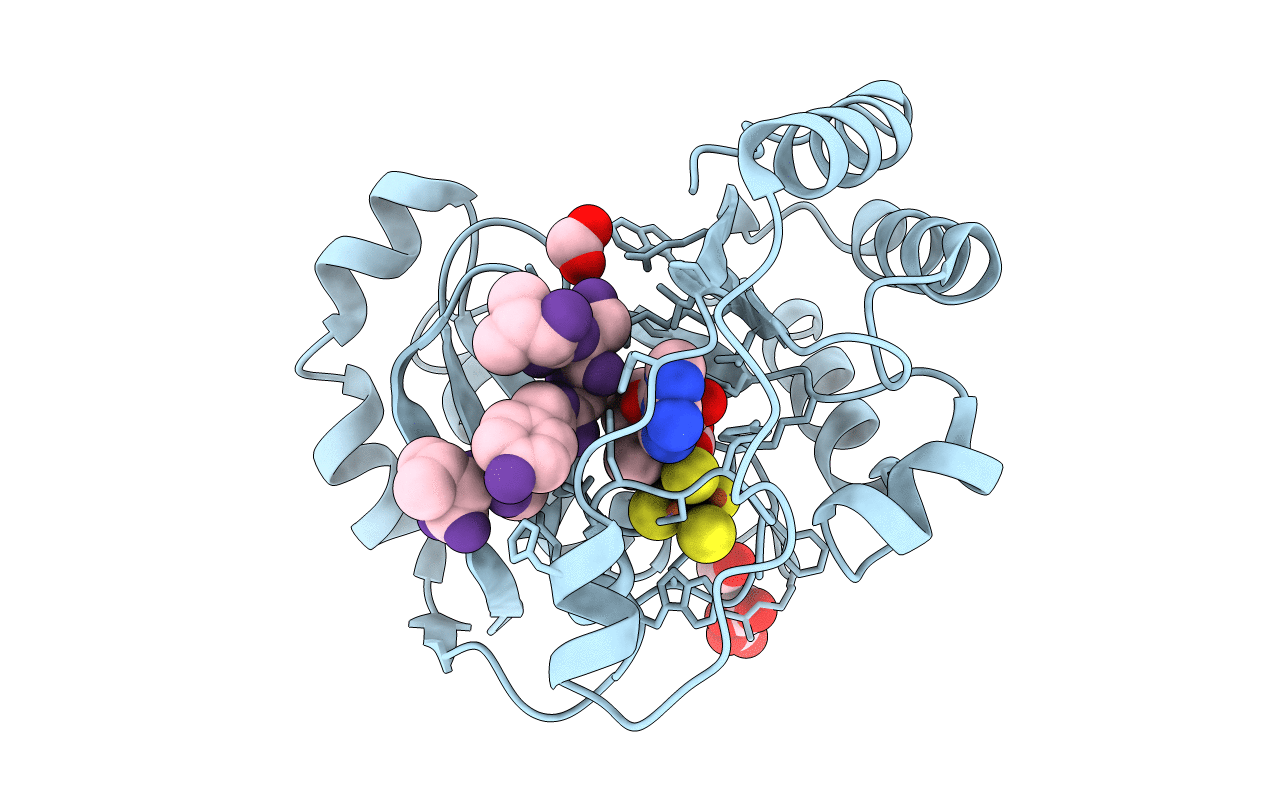 3CB8 image