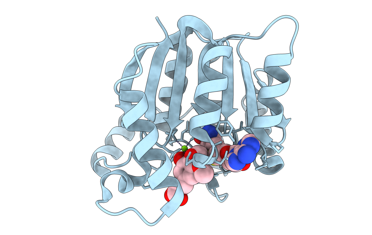 3CBG image