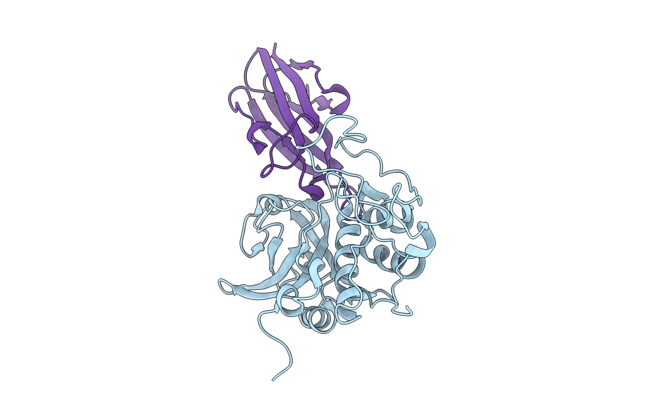 3CBK image