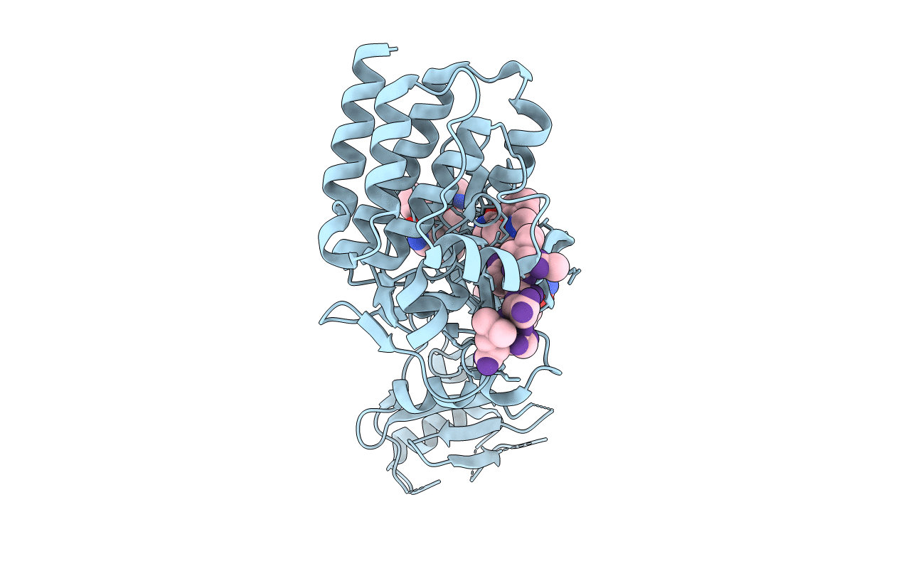 3CBL image
