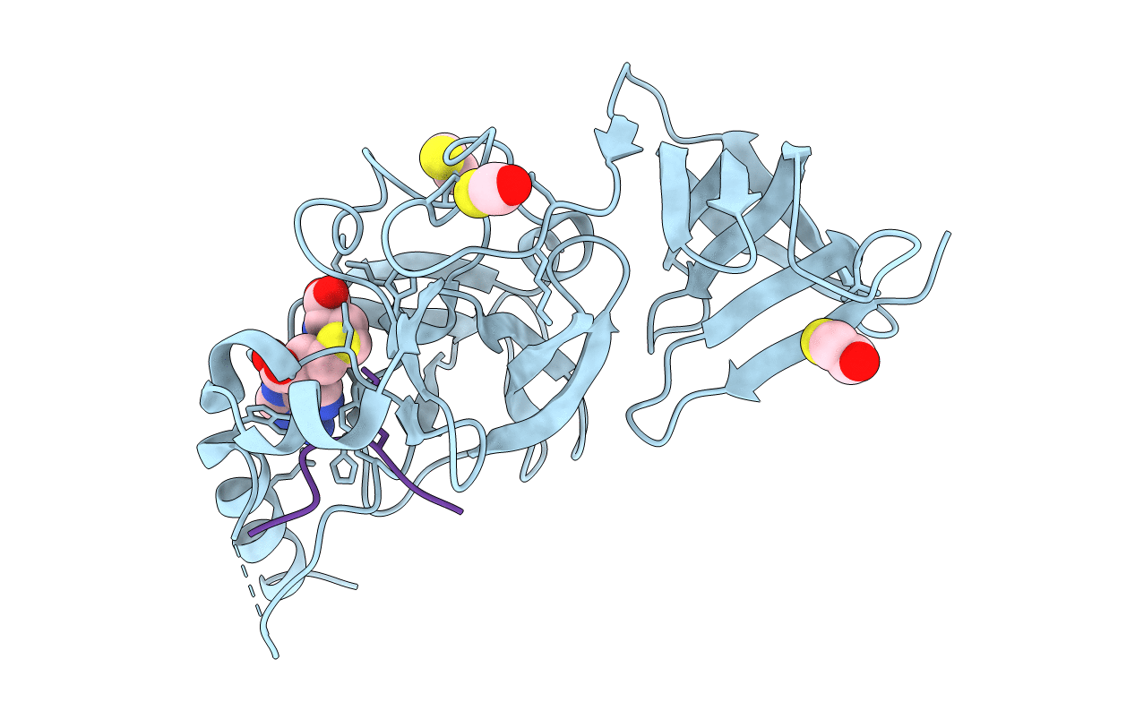 3CBM image