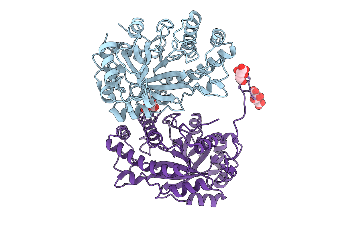 3CBW image