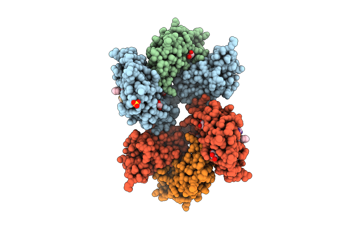 3CC5 image