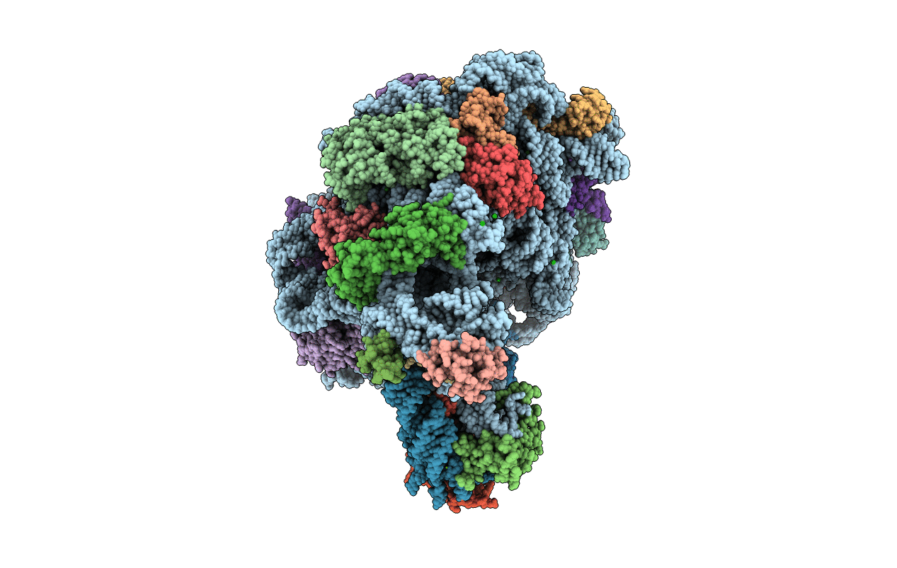 3CCJ image
