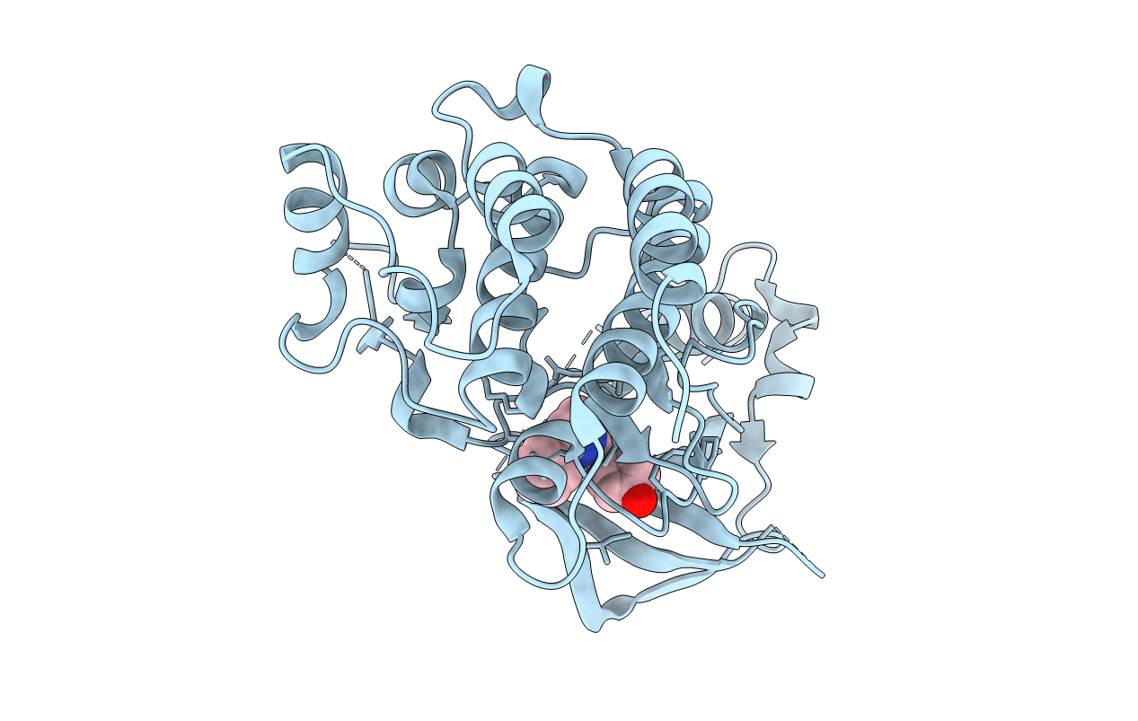 3CCN image