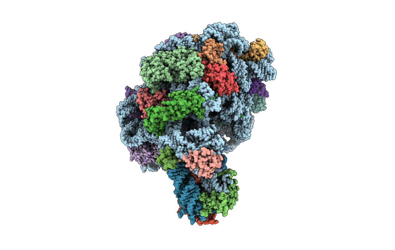 3CCU image