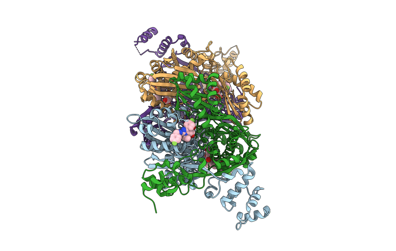 3CD0 image
