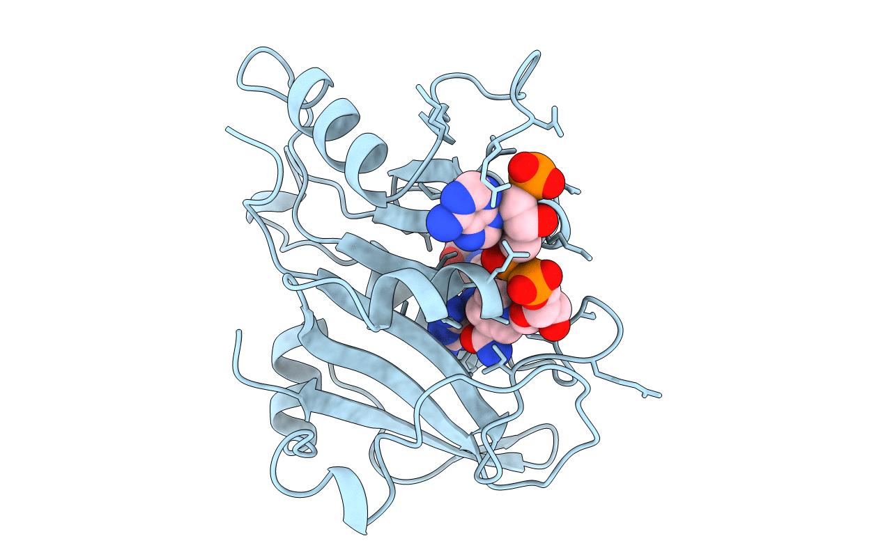 3cd2 image