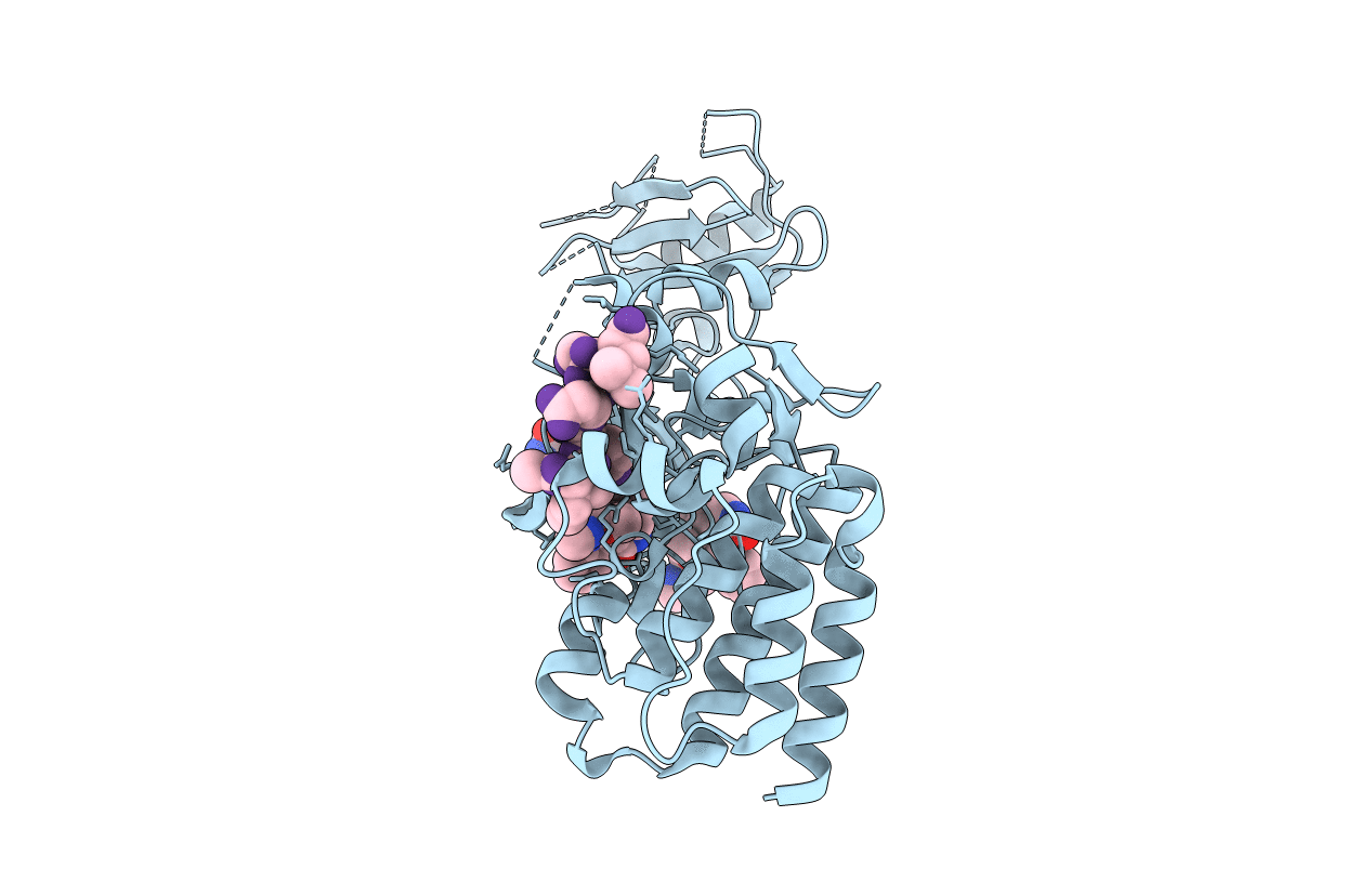3CD3 image