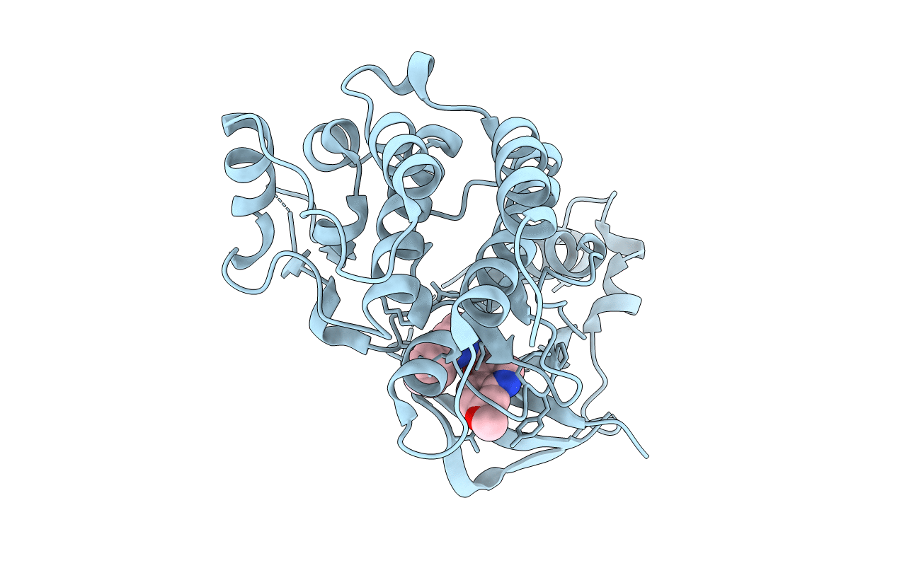 3CD8 image