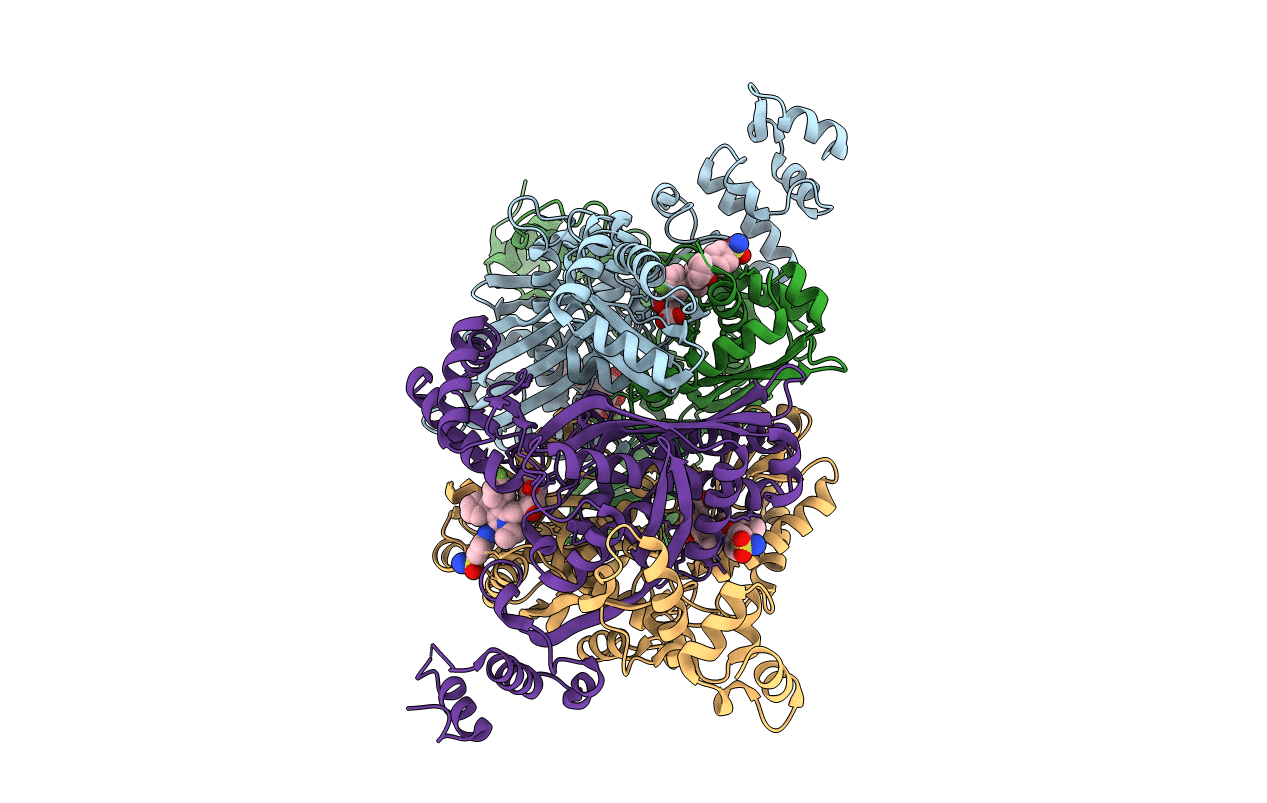 3CDA image