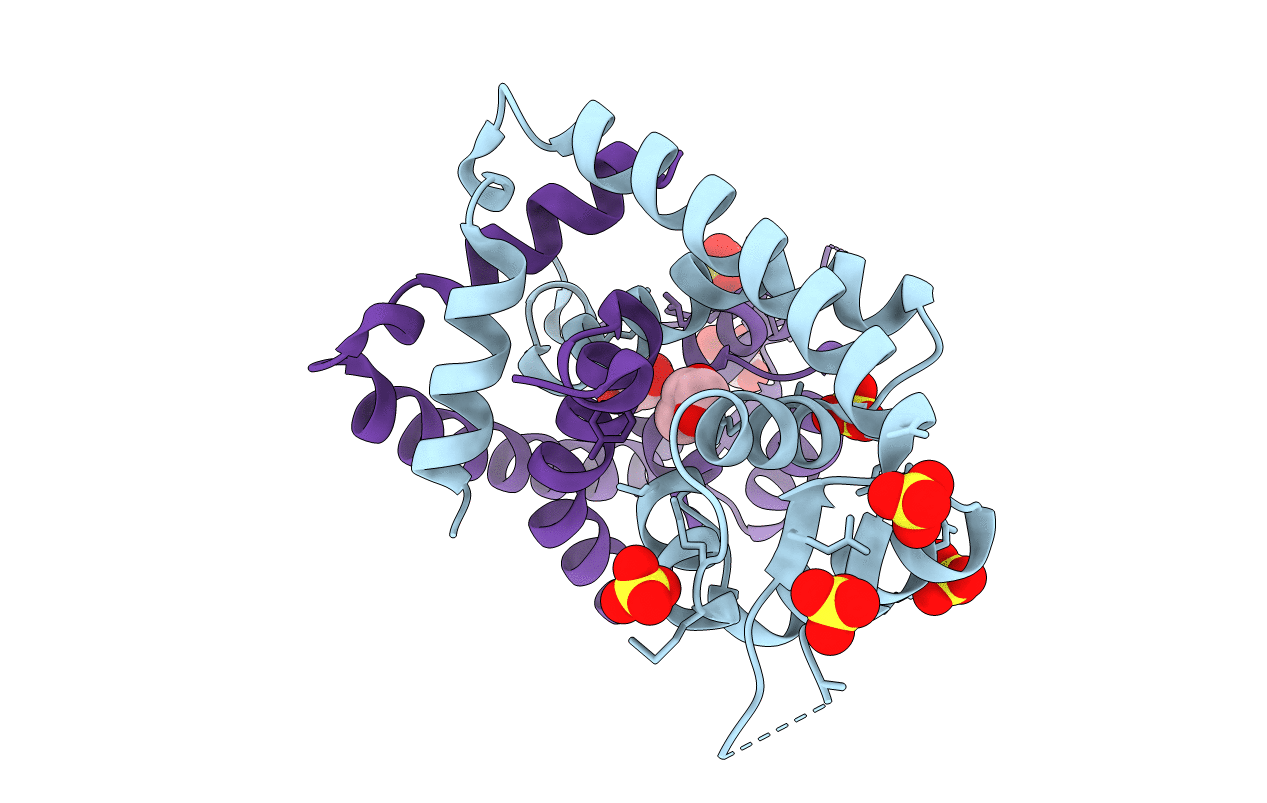 3CDH image