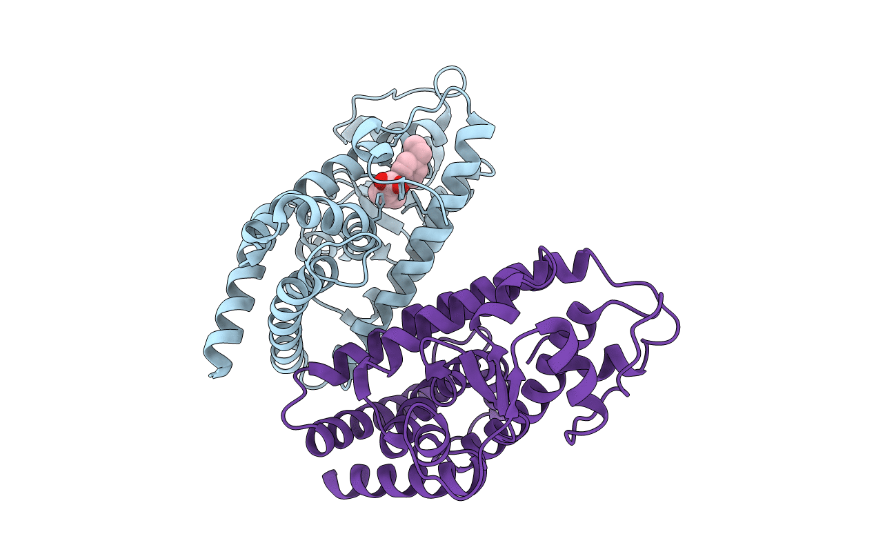 3CDS image