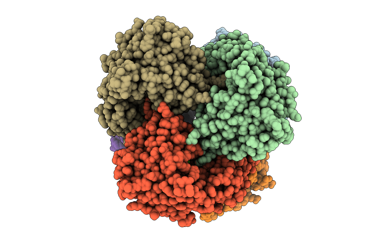 3CDX image