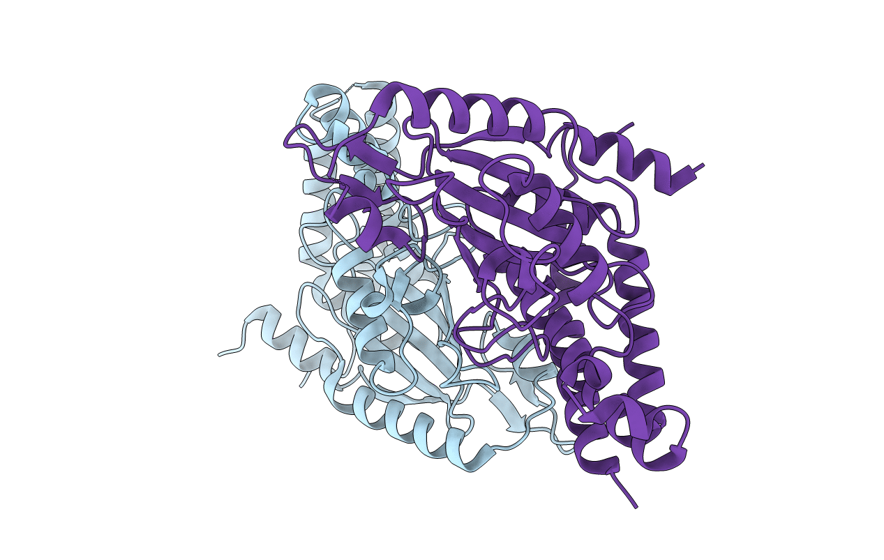 3CEG image