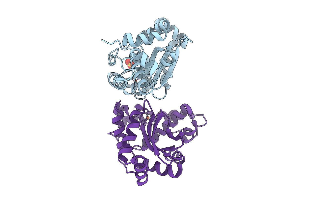 3CEI image