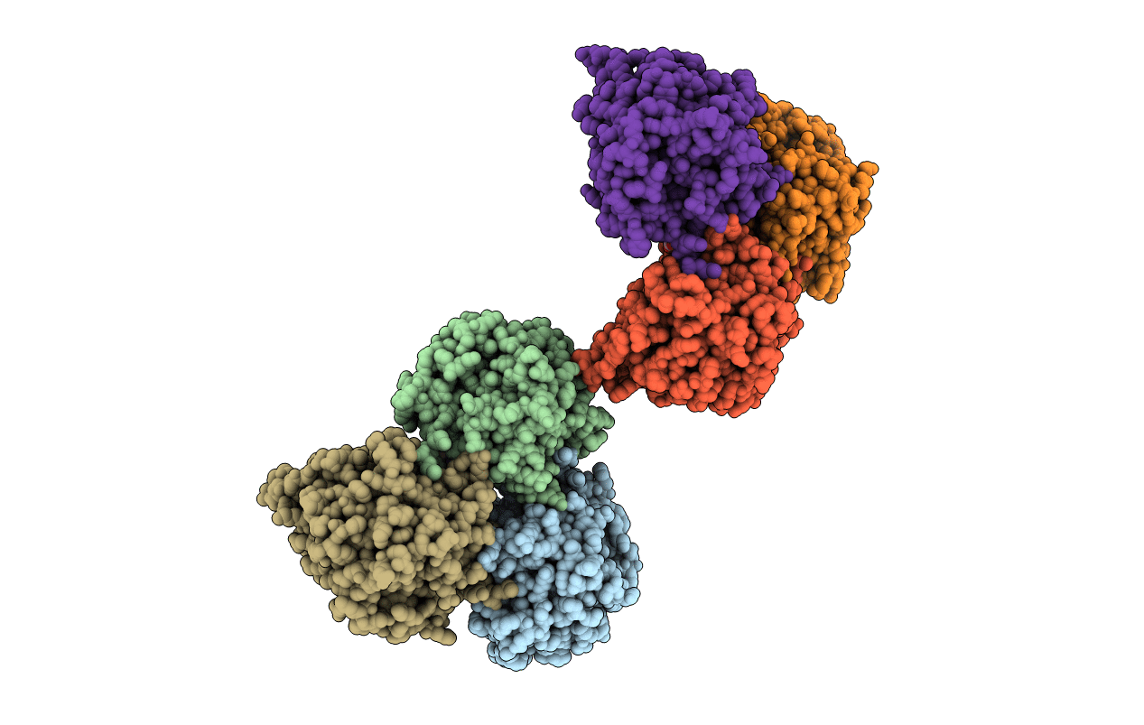 3CEV image
