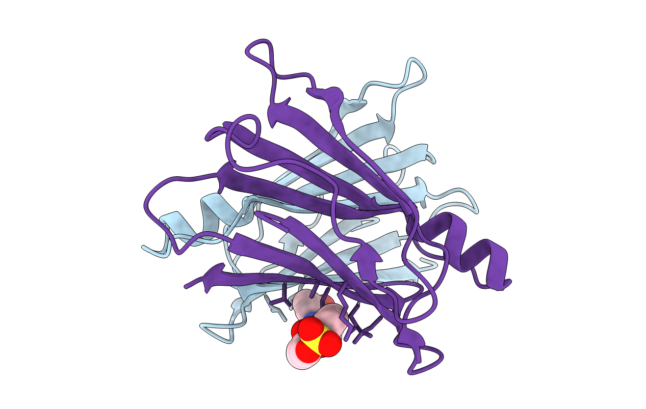 3CFT image