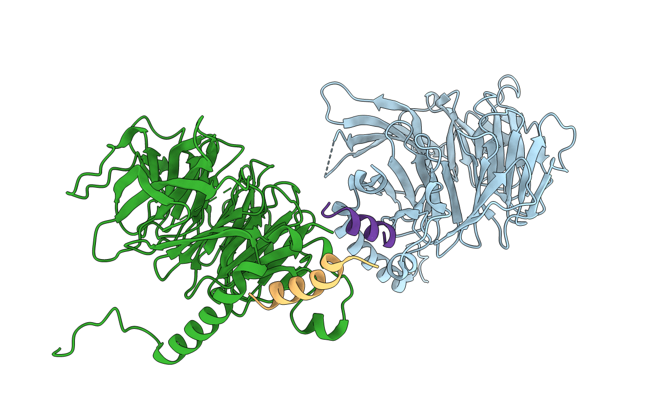 3CFV image