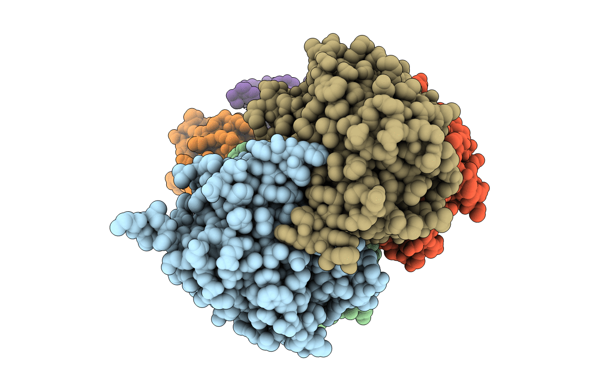 3CGL image