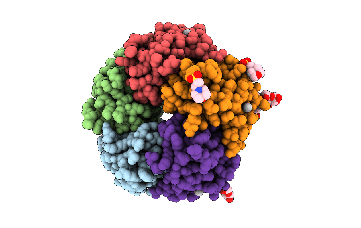 3CHB image