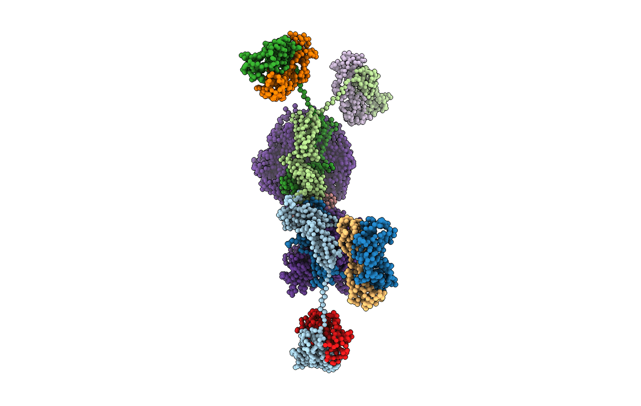 3CHN image