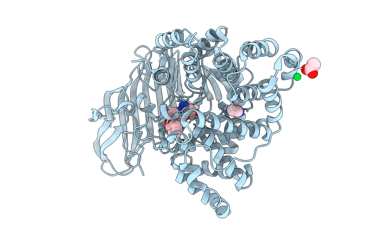 3CHP image