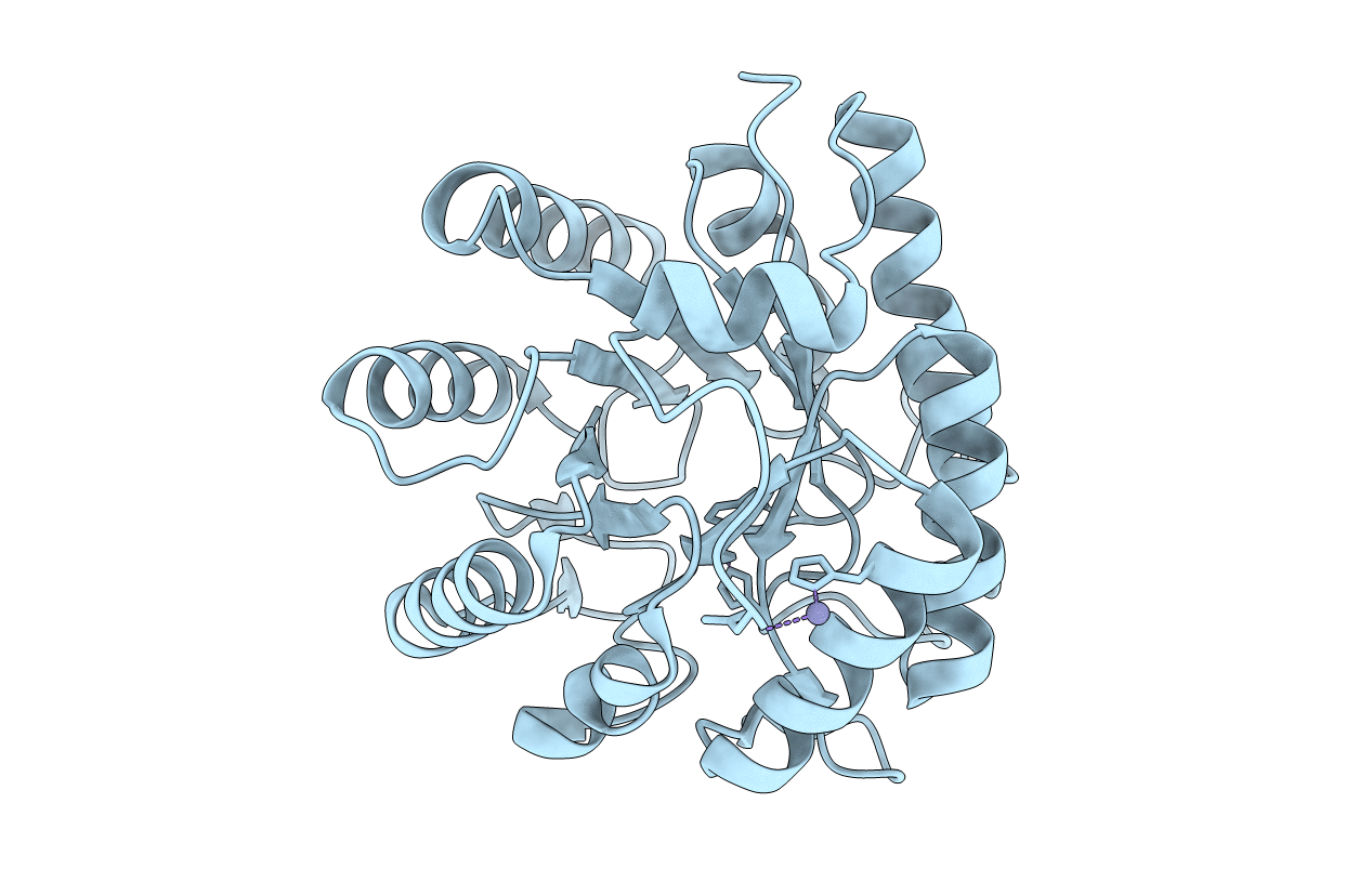 3CHV image