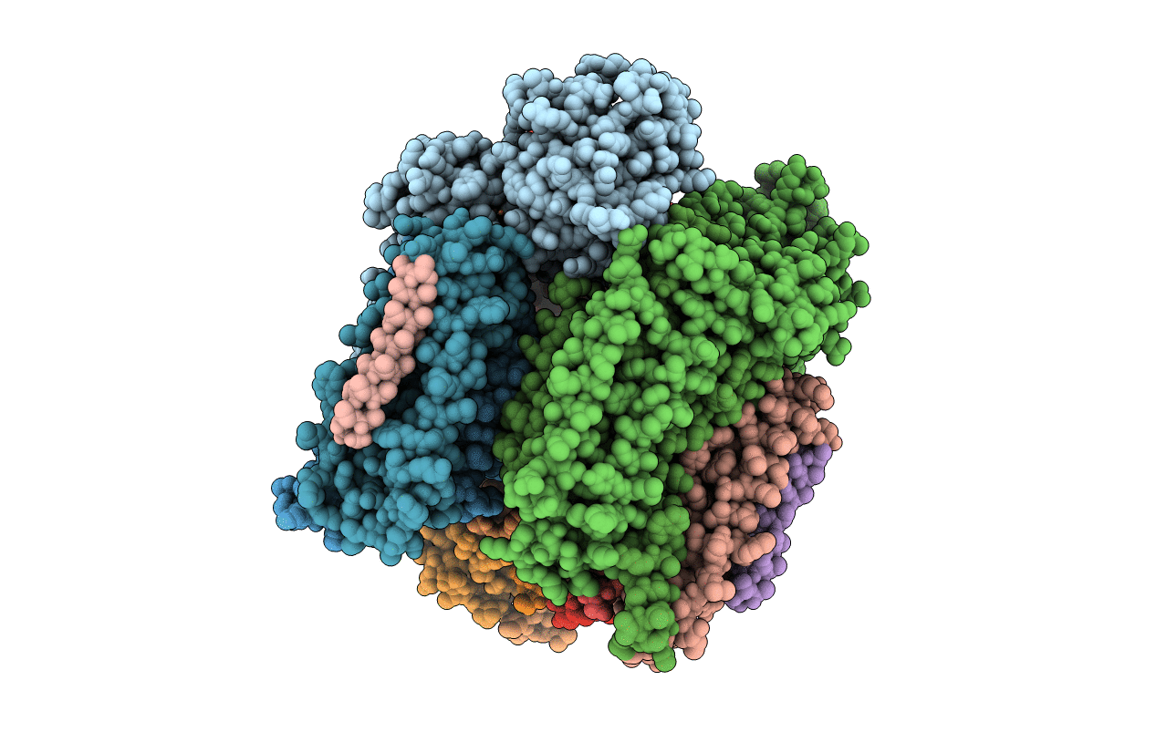 3CHX image