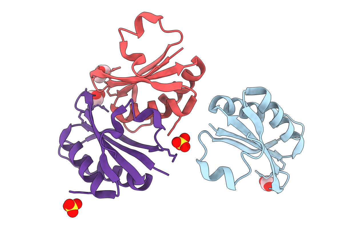3CIM image