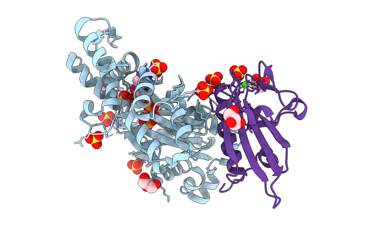 3CIP image