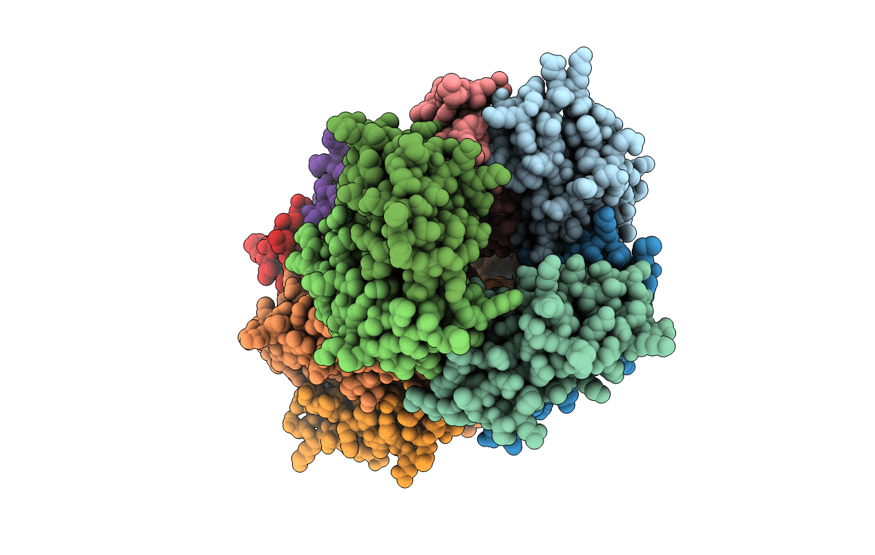 3CIQ image