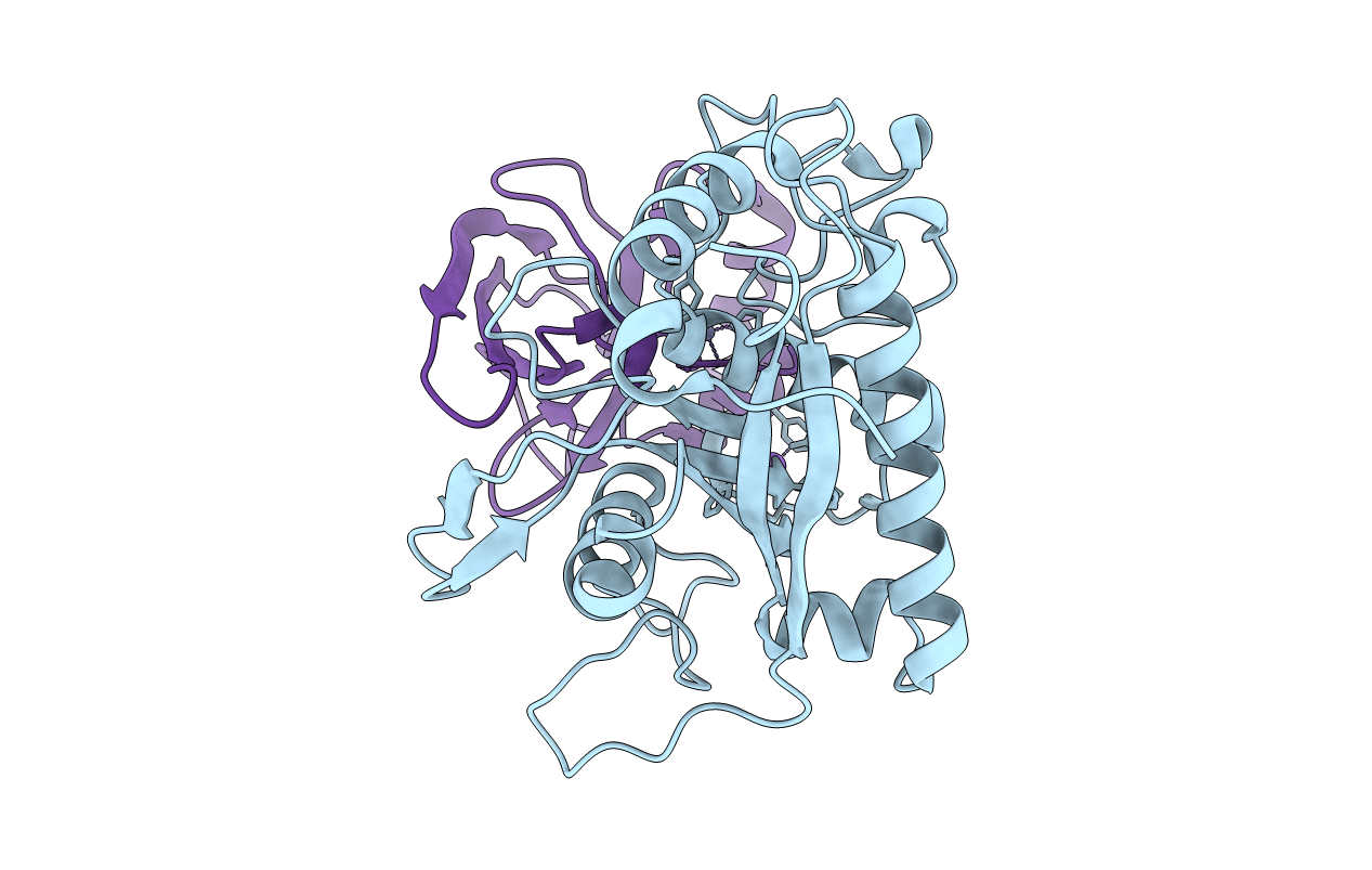3CKI image