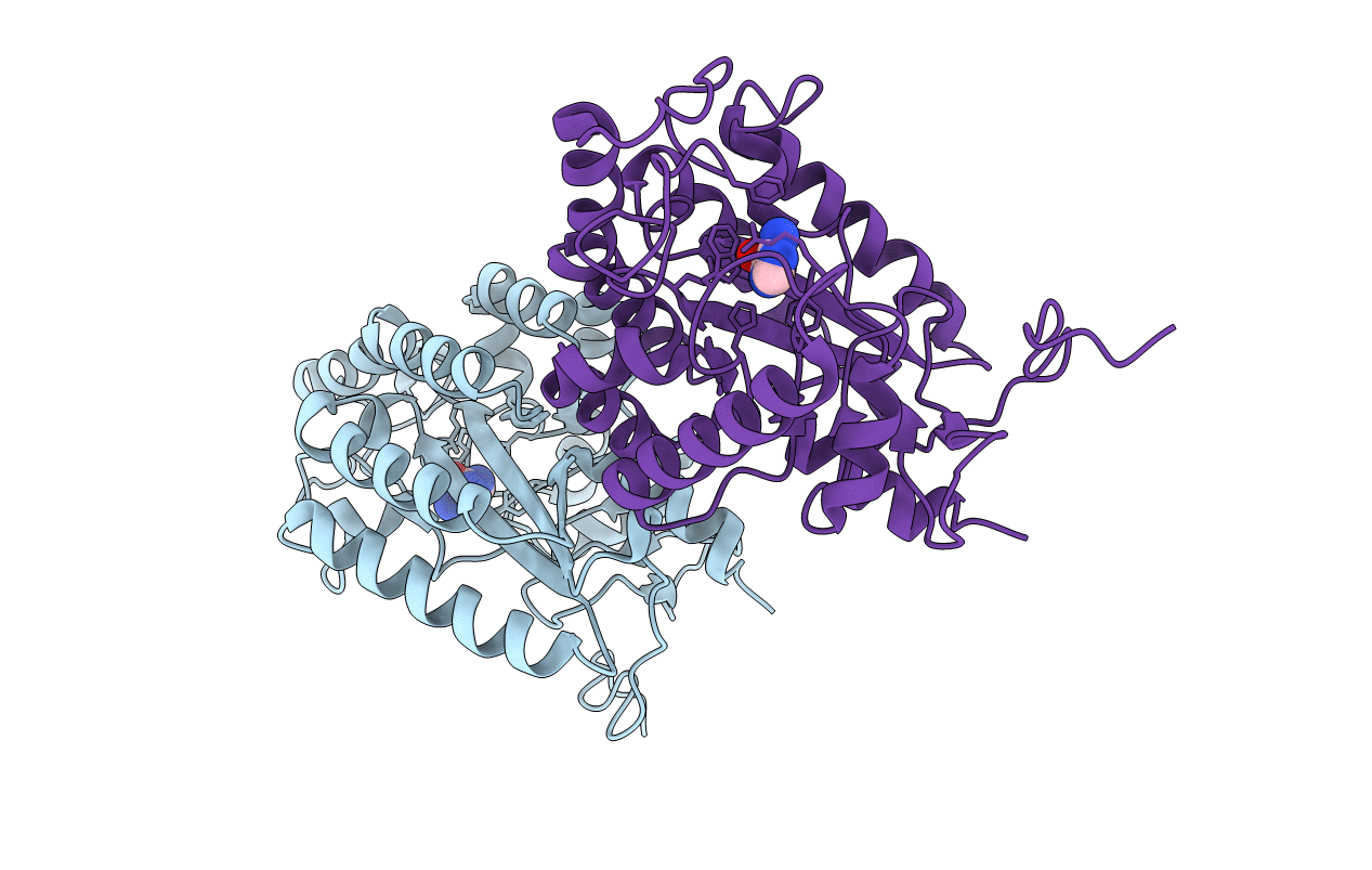 3CL8 image