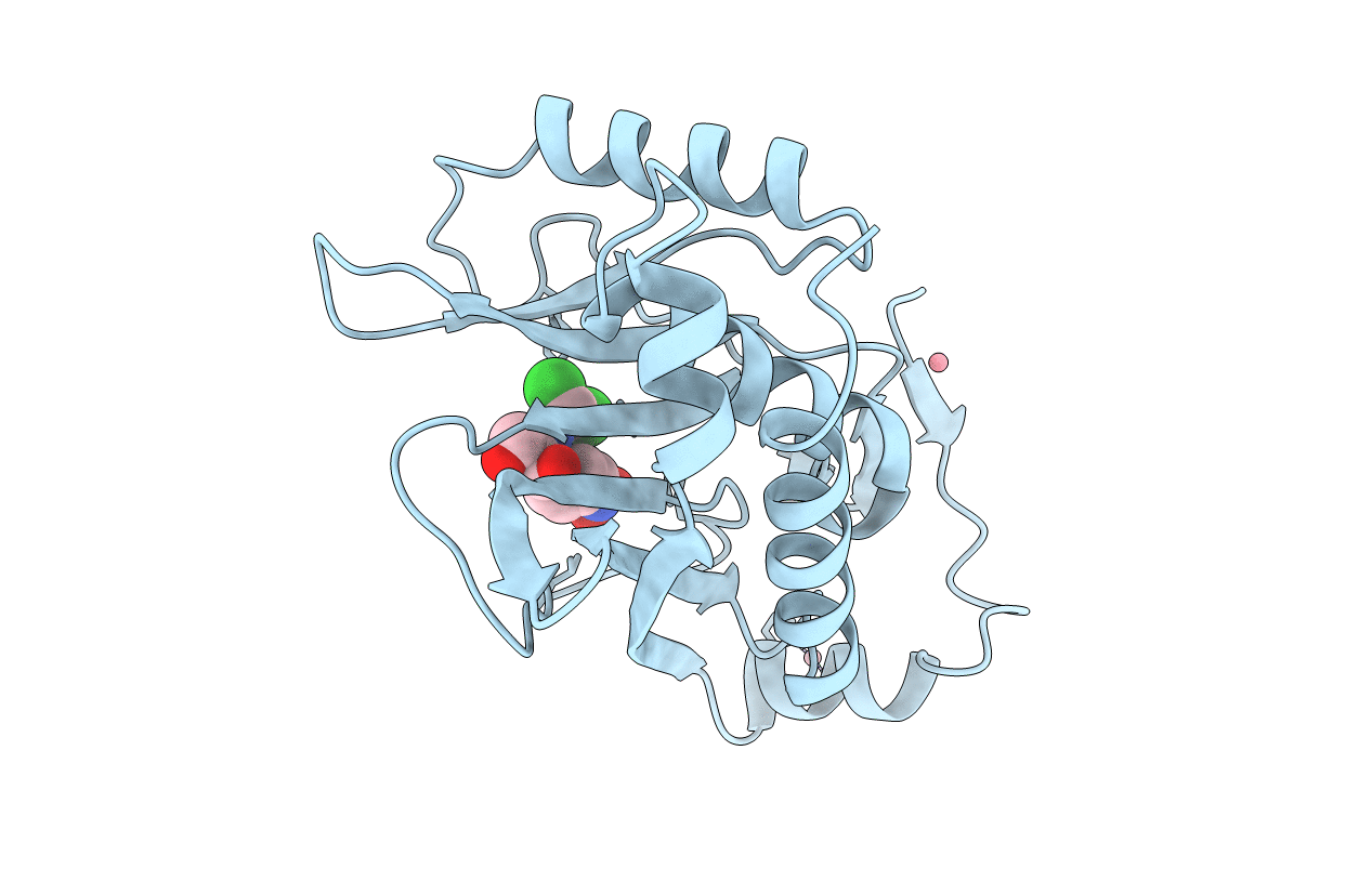 3CLA image
