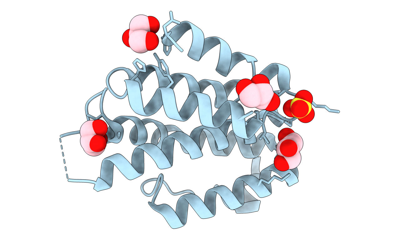 3clj image