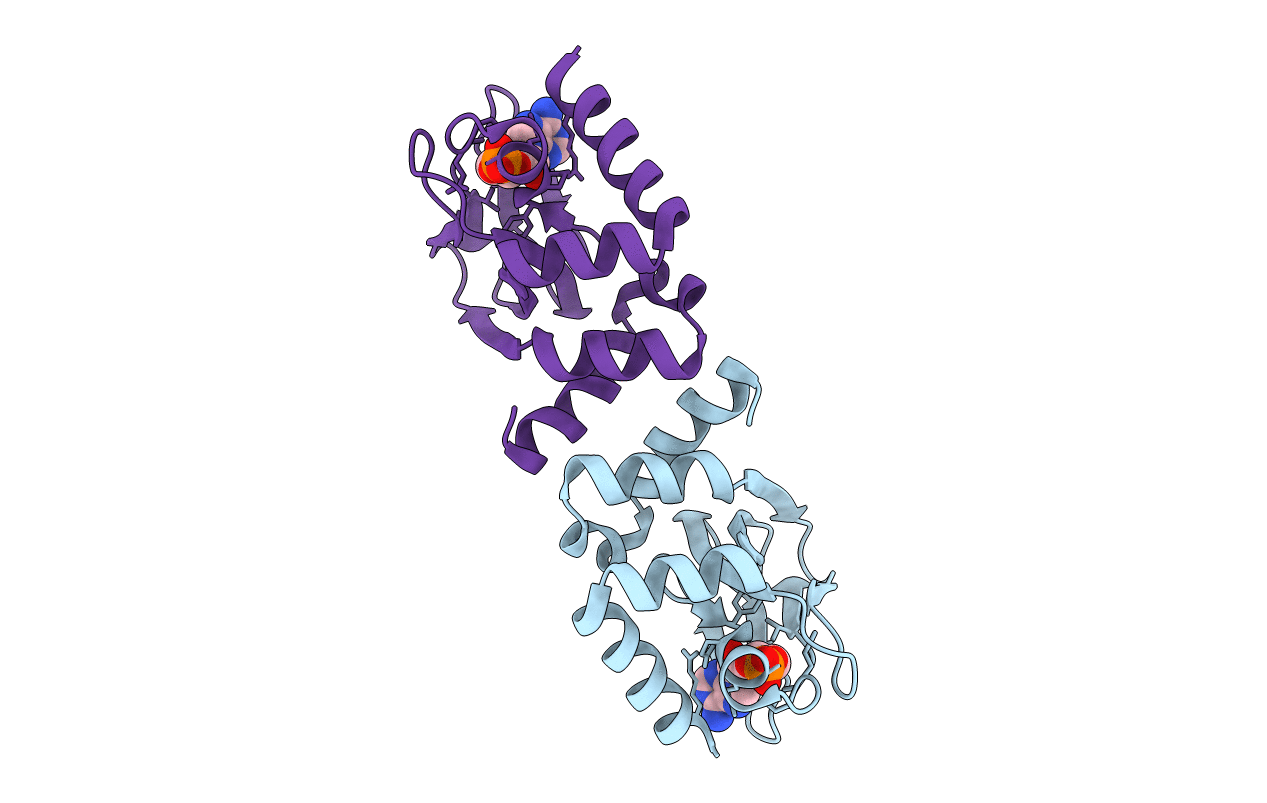 3CLP image