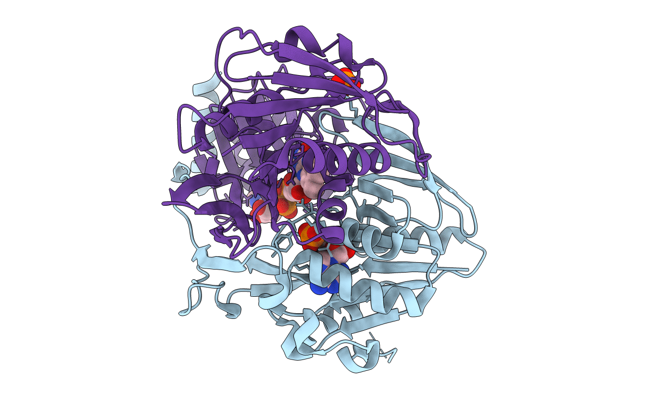 3CLR image