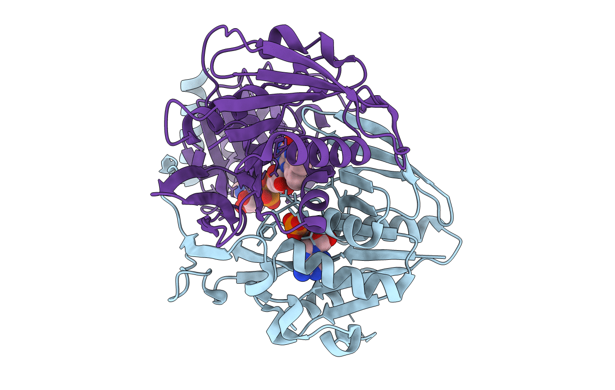 3CLS image