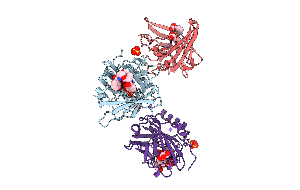 3CMP image