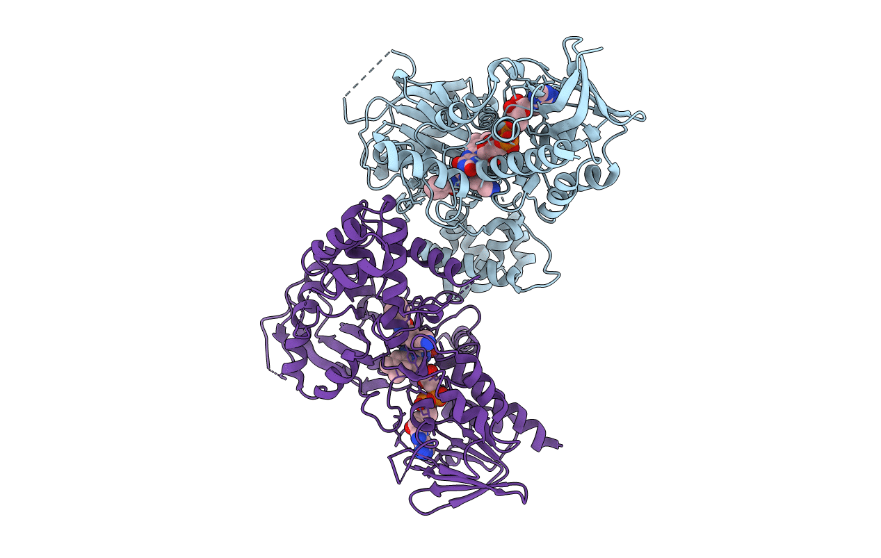 3CNS image