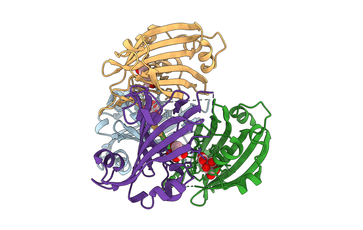 3CNV image