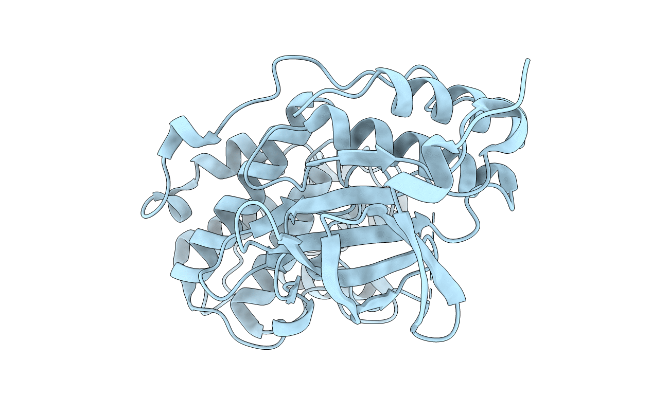 3COI image
