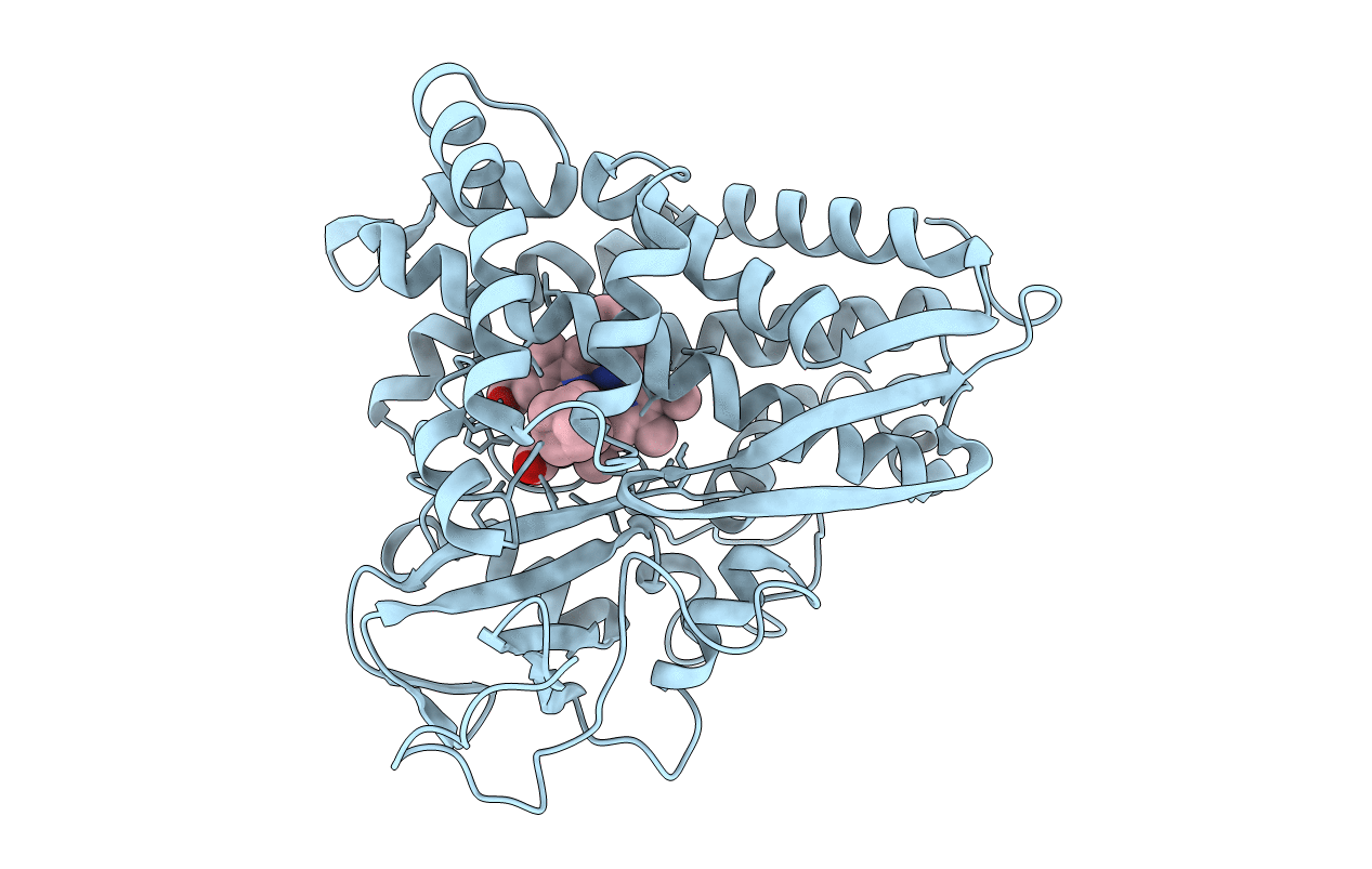 3CP4 image